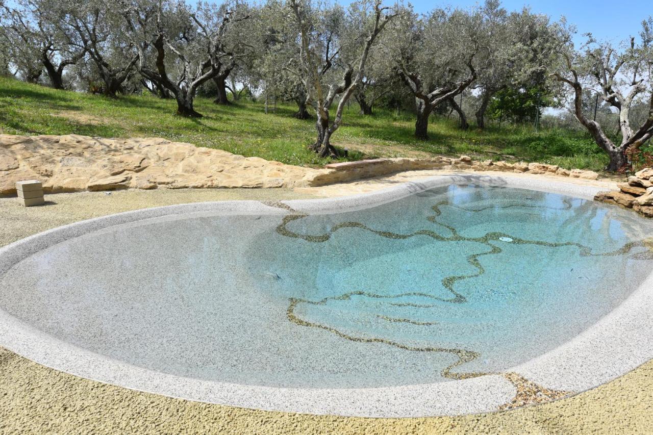 Case&Colline Villa Laura Montescudaio Dış mekan fotoğraf